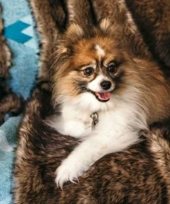 Moonstone Faux Wolf Fur Blanket With Button Straps And Storage Pocket, 54 Inches X 64 Inches HOME GOODS 20 Moonstone Faux Wolf Fur Blanket With Button Straps And Storage Pocket, 54 Inches X 64 Inches HOME GOODS